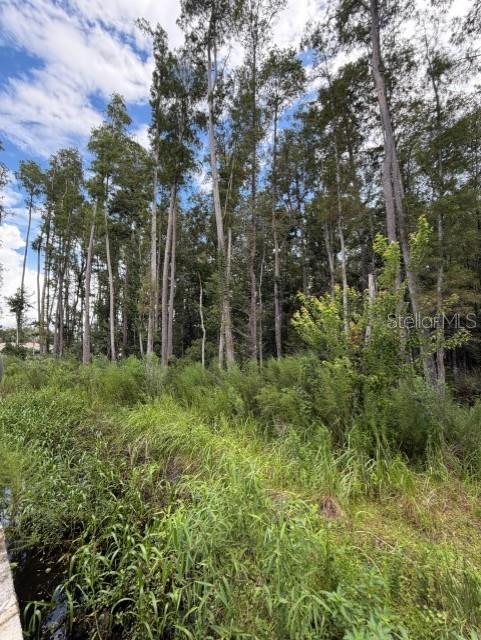 Wesley Chapel Blvd Property Photo 1