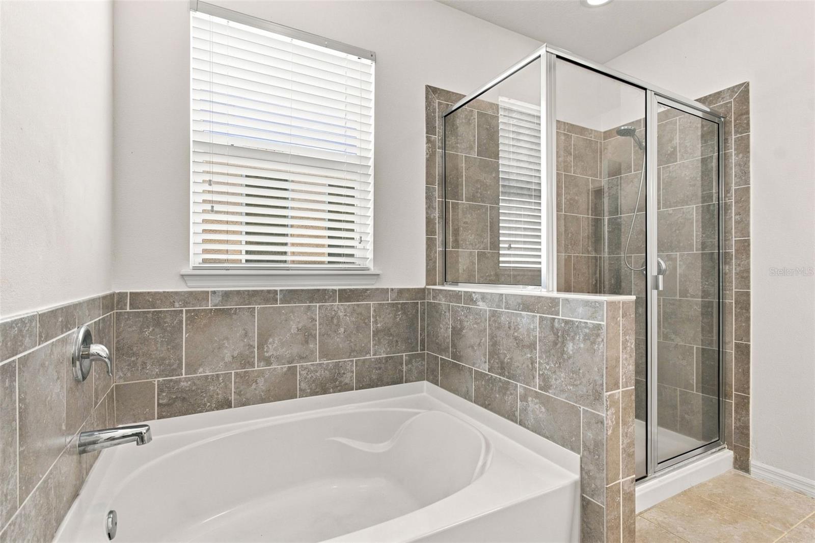 12210 Legacy Bright St Property Photo 33