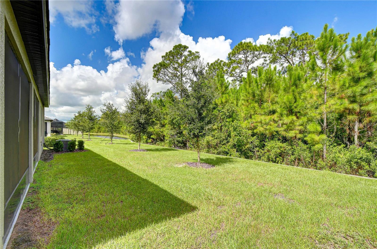 10577 Banyan Breeze Blvd Property Photo 3