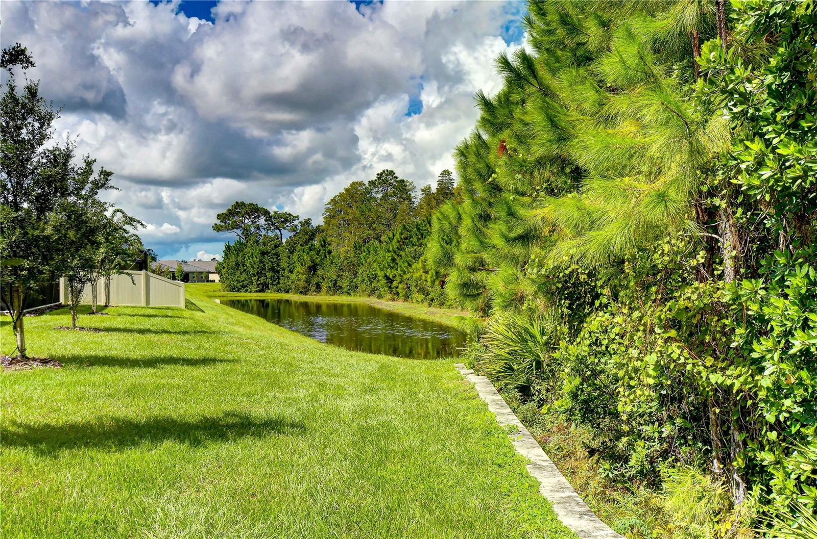 10577 Banyan Breeze Blvd Property Photo 37