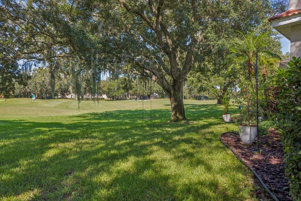 1413 El Pardo Dr Property Photo 48