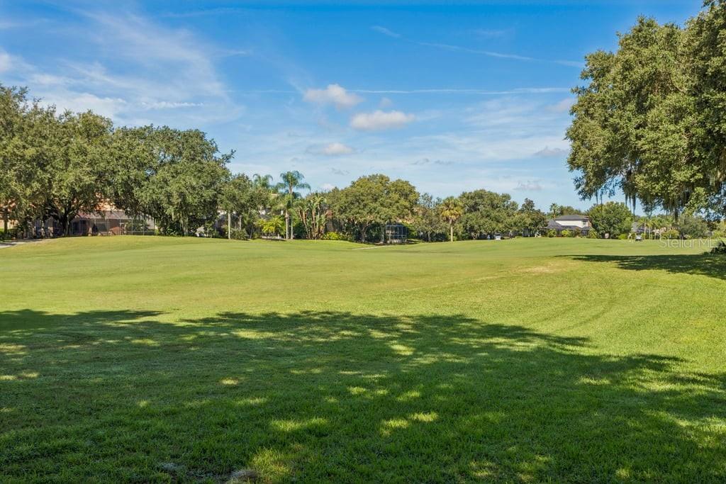 1413 El Pardo Dr Property Photo 50