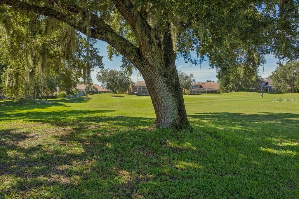 1413 El Pardo Dr Property Photo 51