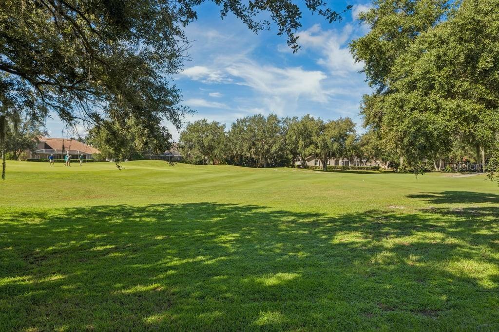 1413 El Pardo Dr Property Photo 52
