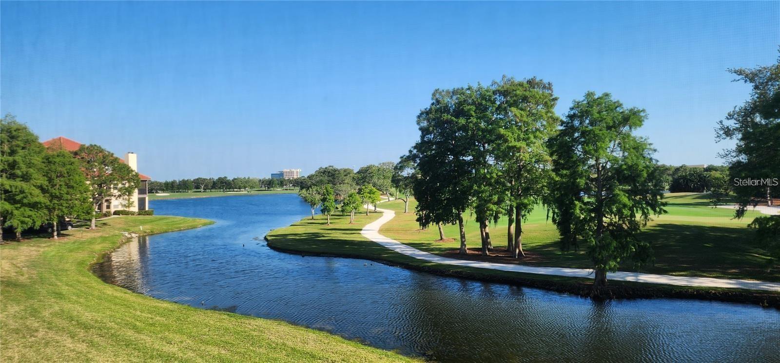 2400 Feather Sound Dr #522 Property Photo 1