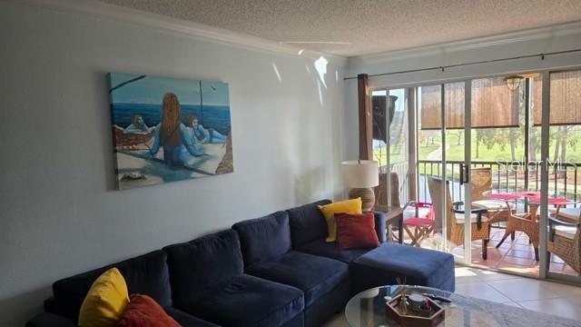 2400 Feather Sound Dr #522 Property Photo 7