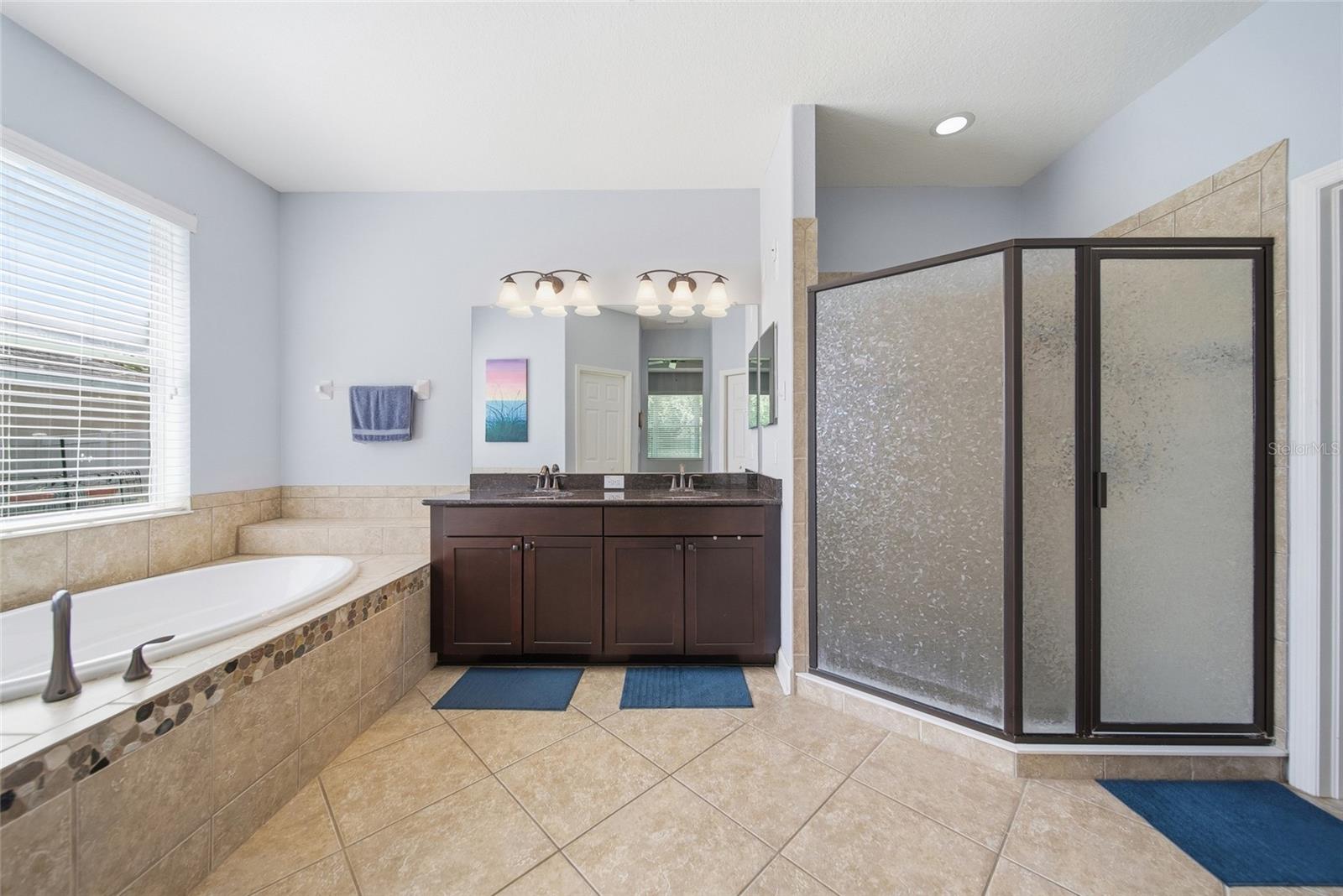 10106 Caraway Spice Ave Property Photo 18