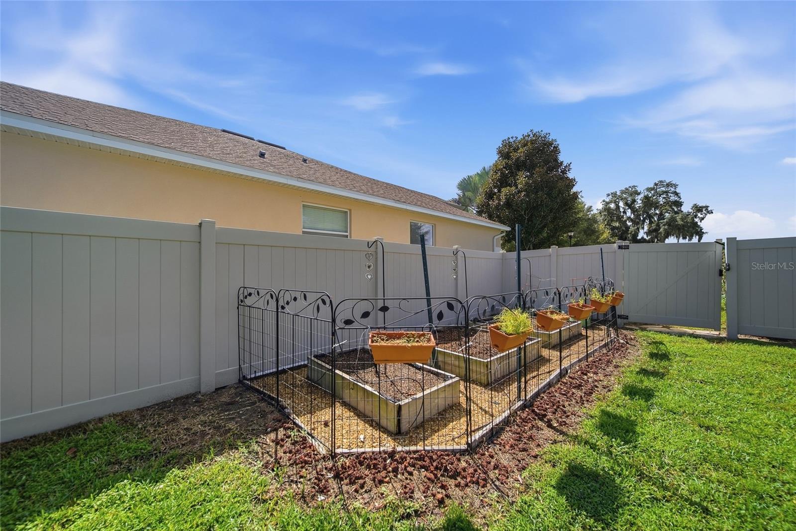 10106 Caraway Spice Ave Property Photo 29