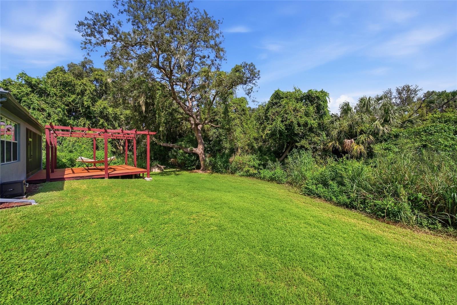10106 Caraway Spice Ave Property Photo 30