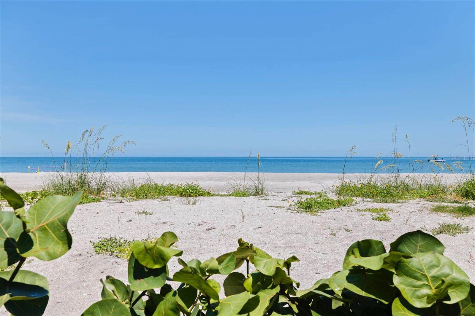 1520 Gulf Blvd #1901 Property Photo 65