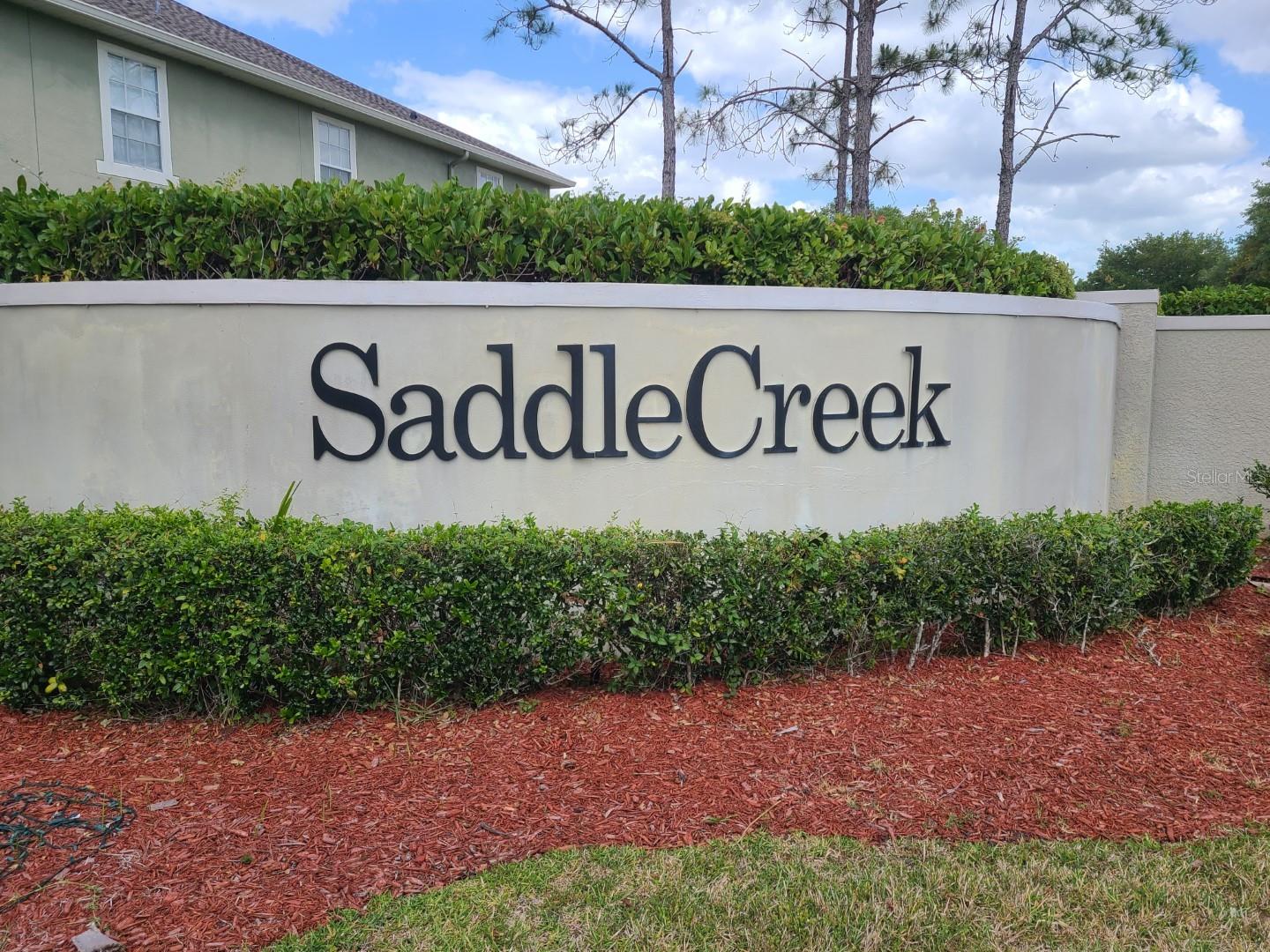 27727 Pleasure Ride Loop Property Photo 51