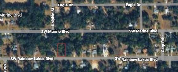 19949 Rainbow Lakes Blvd Property Photo 3