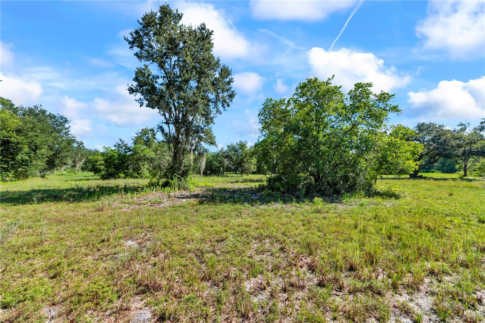 5753 N Dormany Rd Property Photo 61