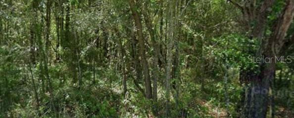 20550 Marine Blvd Property Photo 1