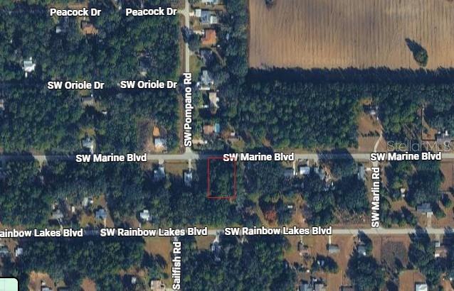 20550 Marine Blvd Property Photo 3