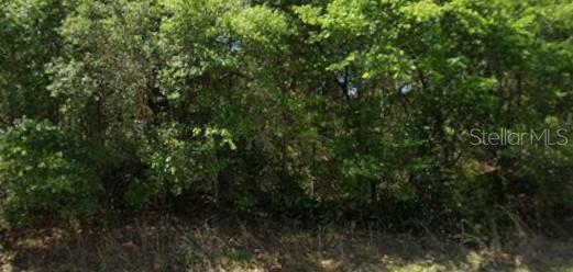 21540 Marine Blvd Property Photo 1