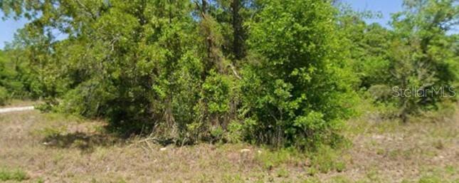 21943 Rainbow Lakes Blvd Property Photo 1