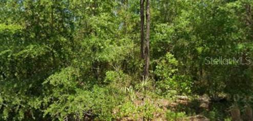 21425 Rainbow Lakes Blvd Property Photo 1