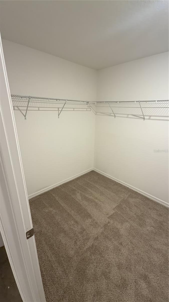 7419 Rosy Periwinkle Ct Property Photo 20