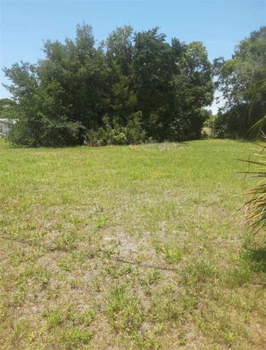 8367 Lafitte Dr Property Photo 6