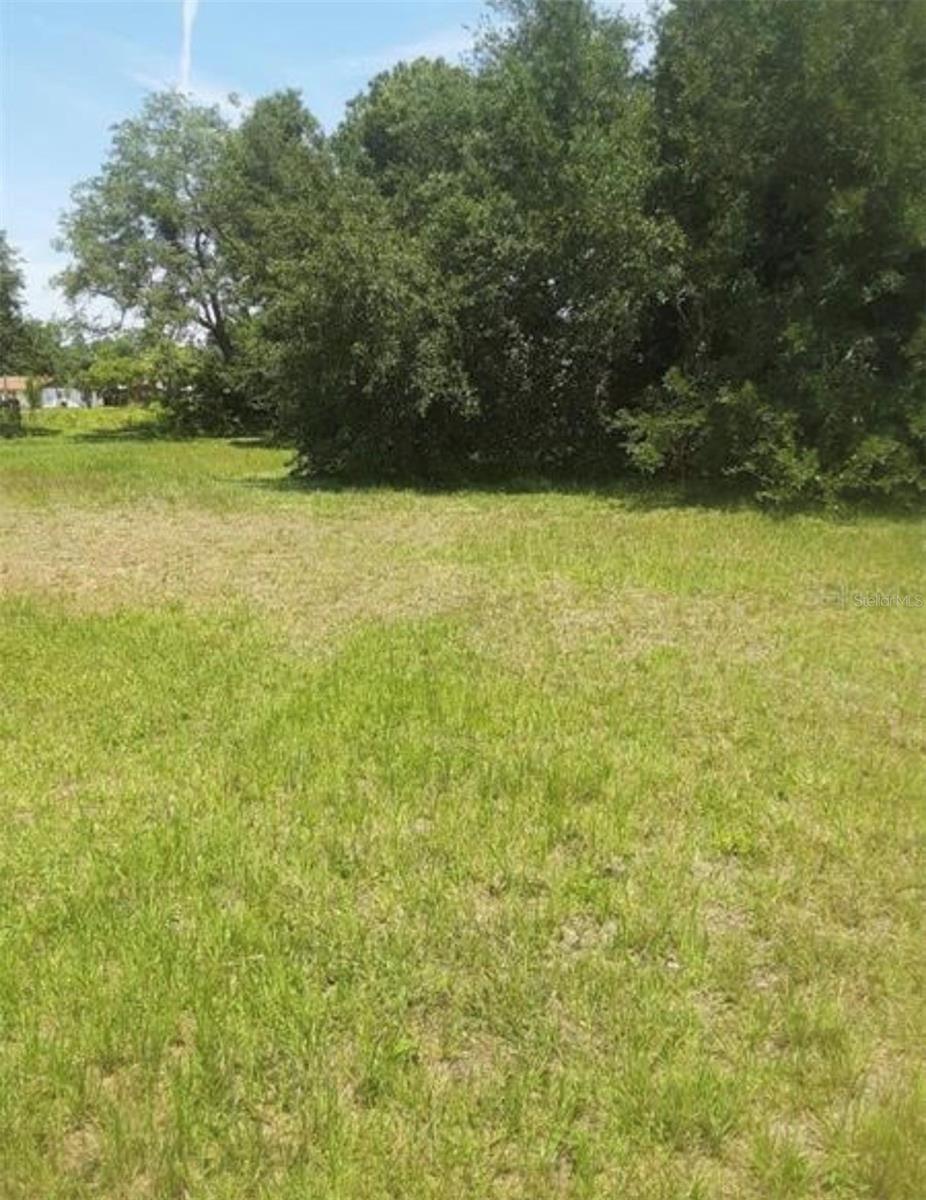 8367 Lafitte Dr Property Photo 7