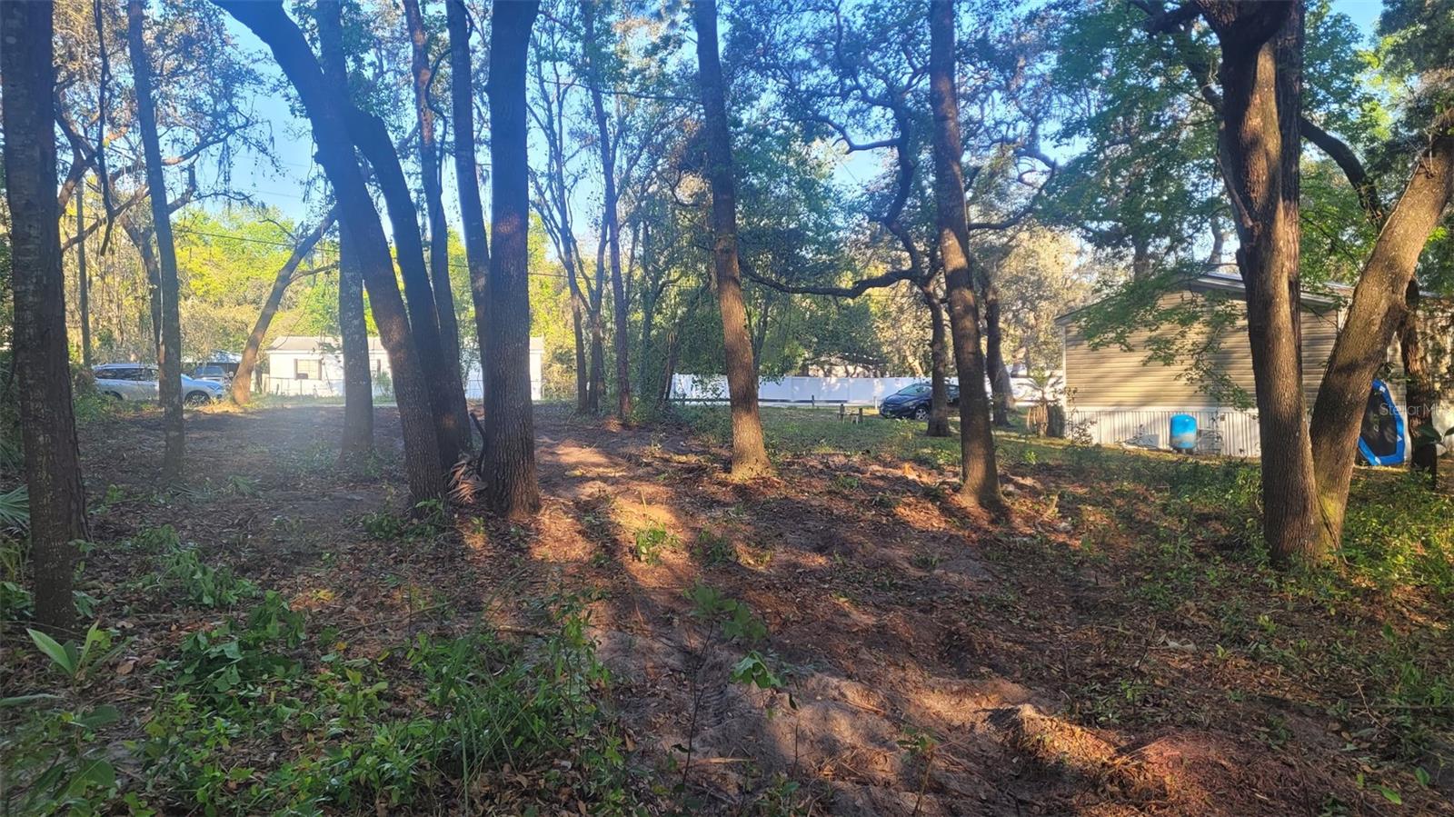 Marley Avenue Property Photo 3