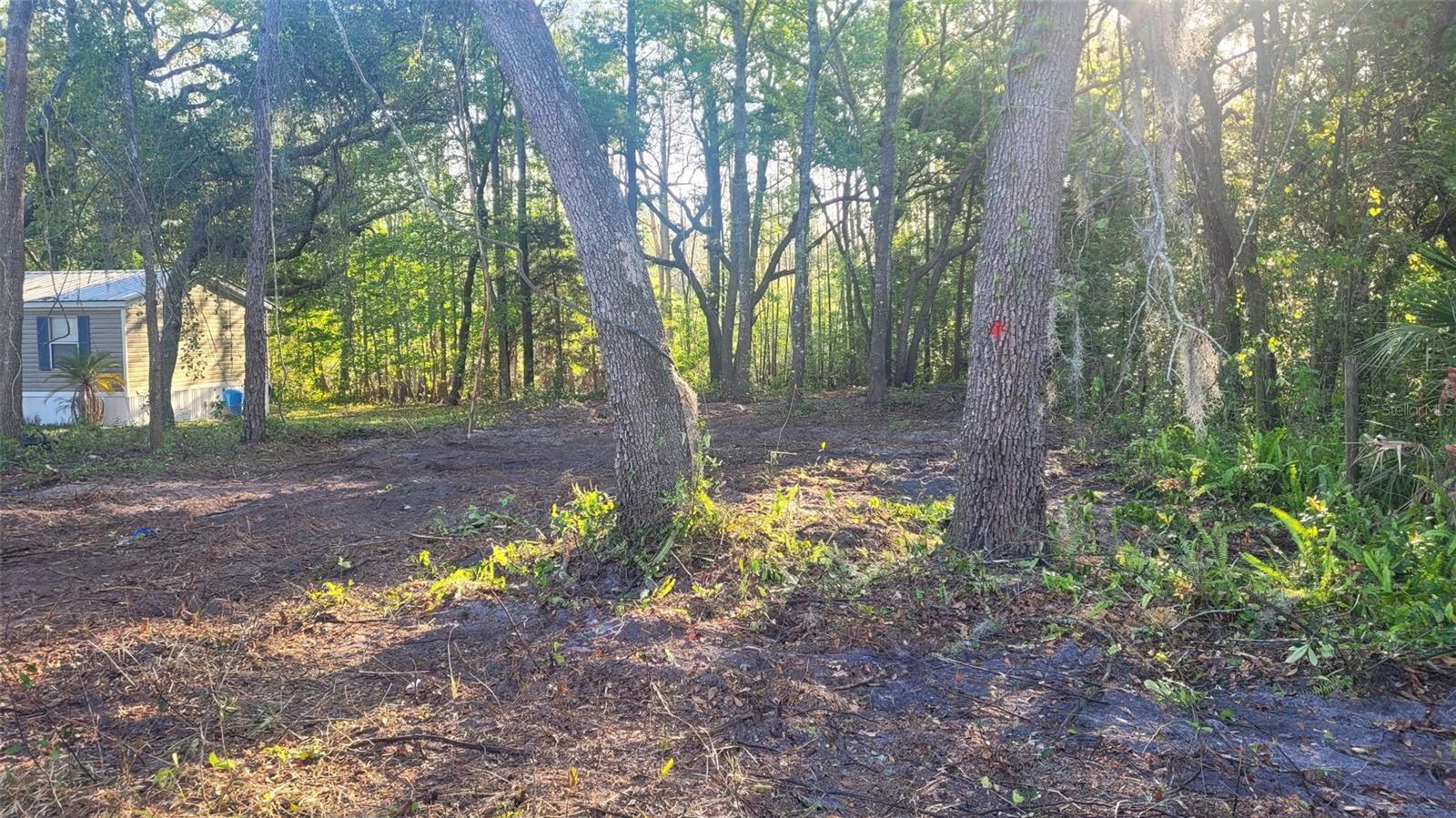Marley Avenue Property Photo 4