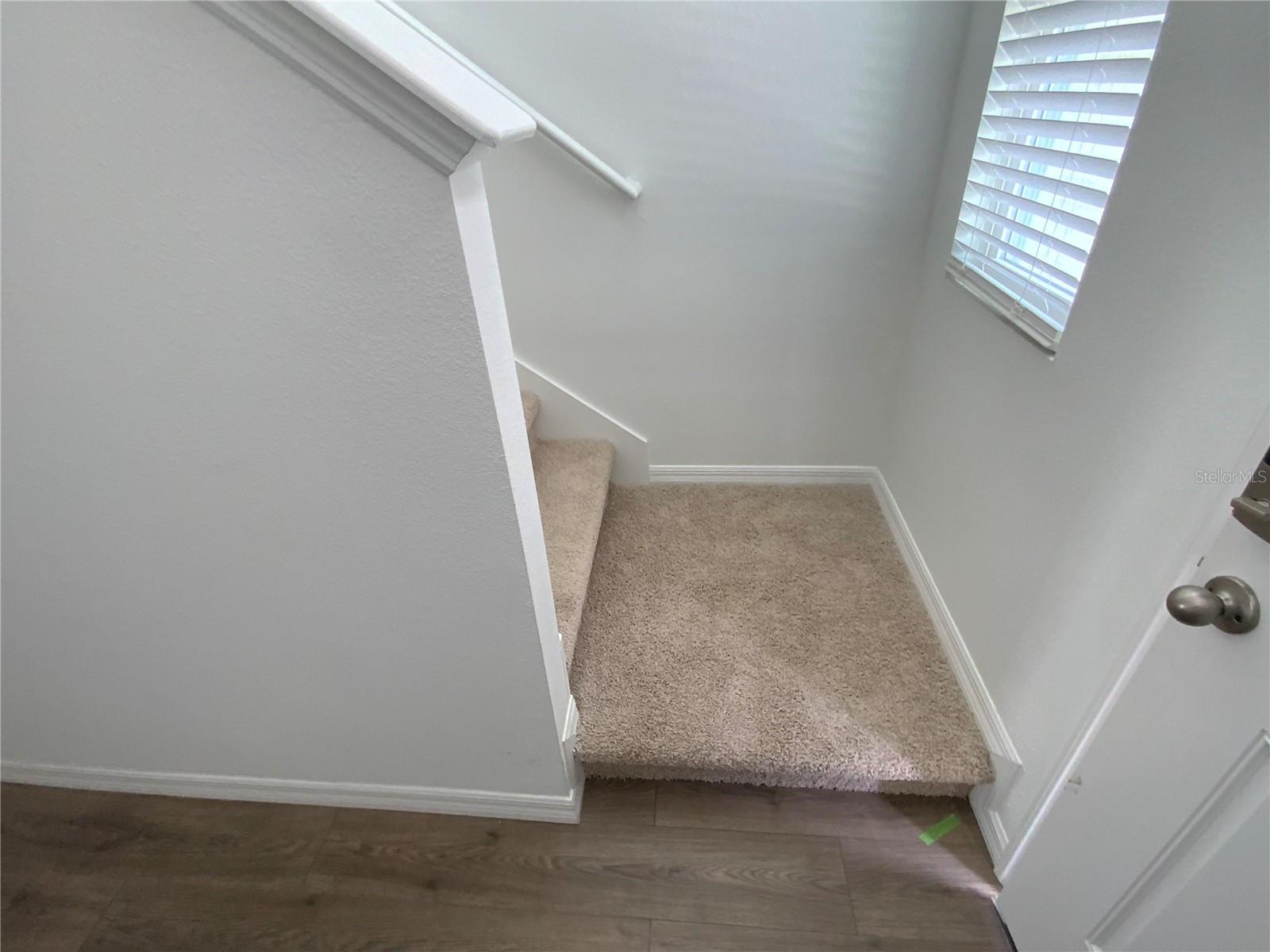 32562 Midsummer Night Lane Property Photo 9