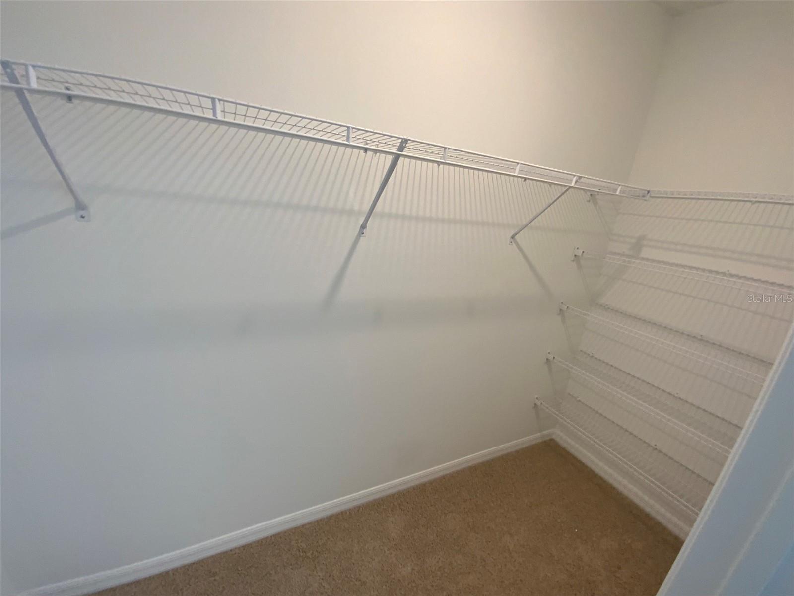 32562 Midsummer Night Lane Property Photo 11