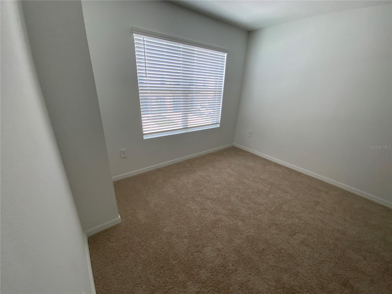 32562 Midsummer Night Lane Property Photo 12