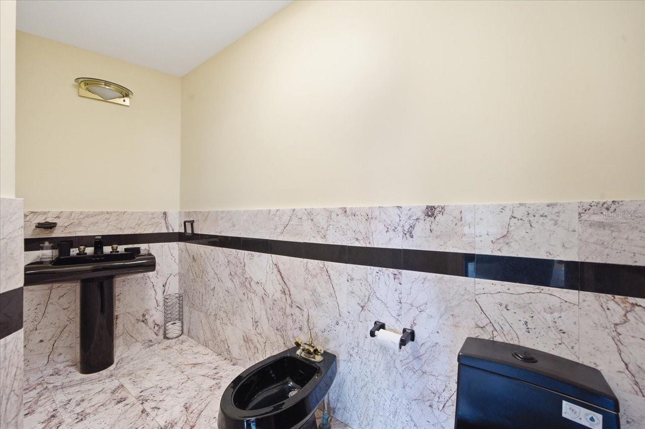 11609 Carrollwood Dr Property Photo 59