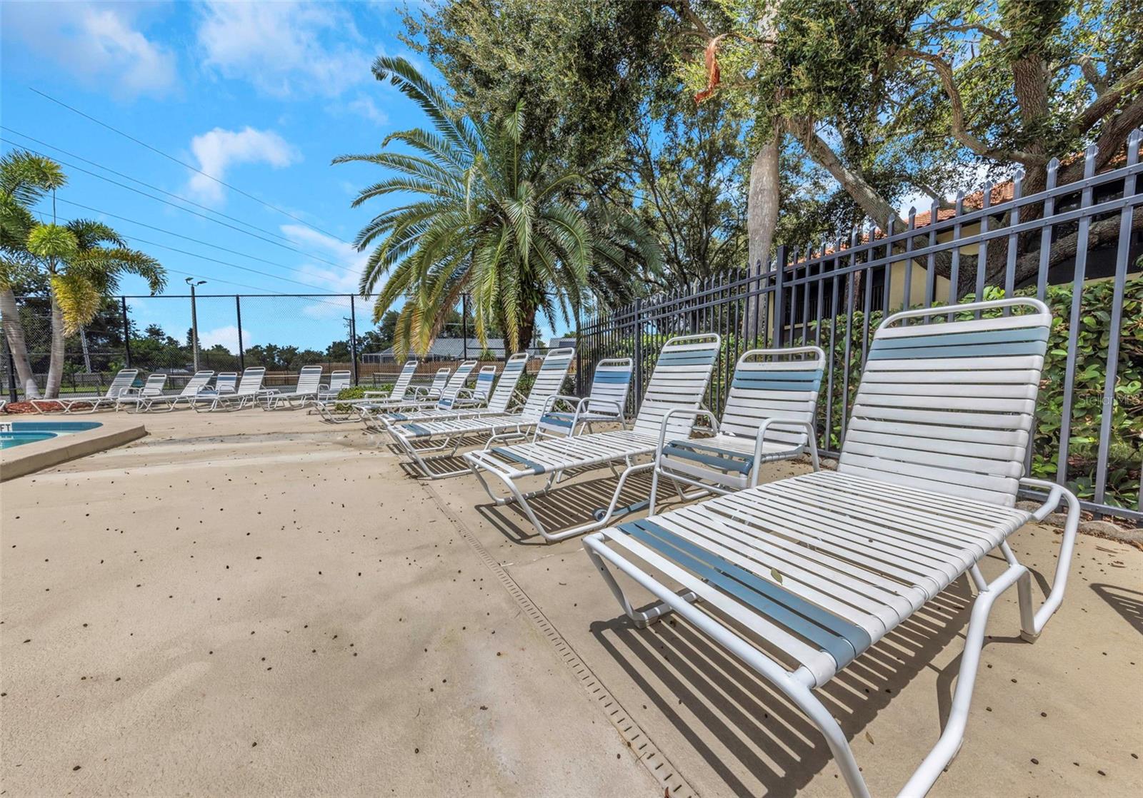 1906 Hammock Pine Blvd #1906 Property Photo 44