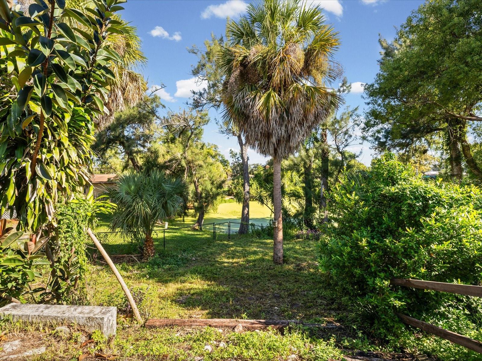 6907 Bottle Brush Dr Property Photo 38
