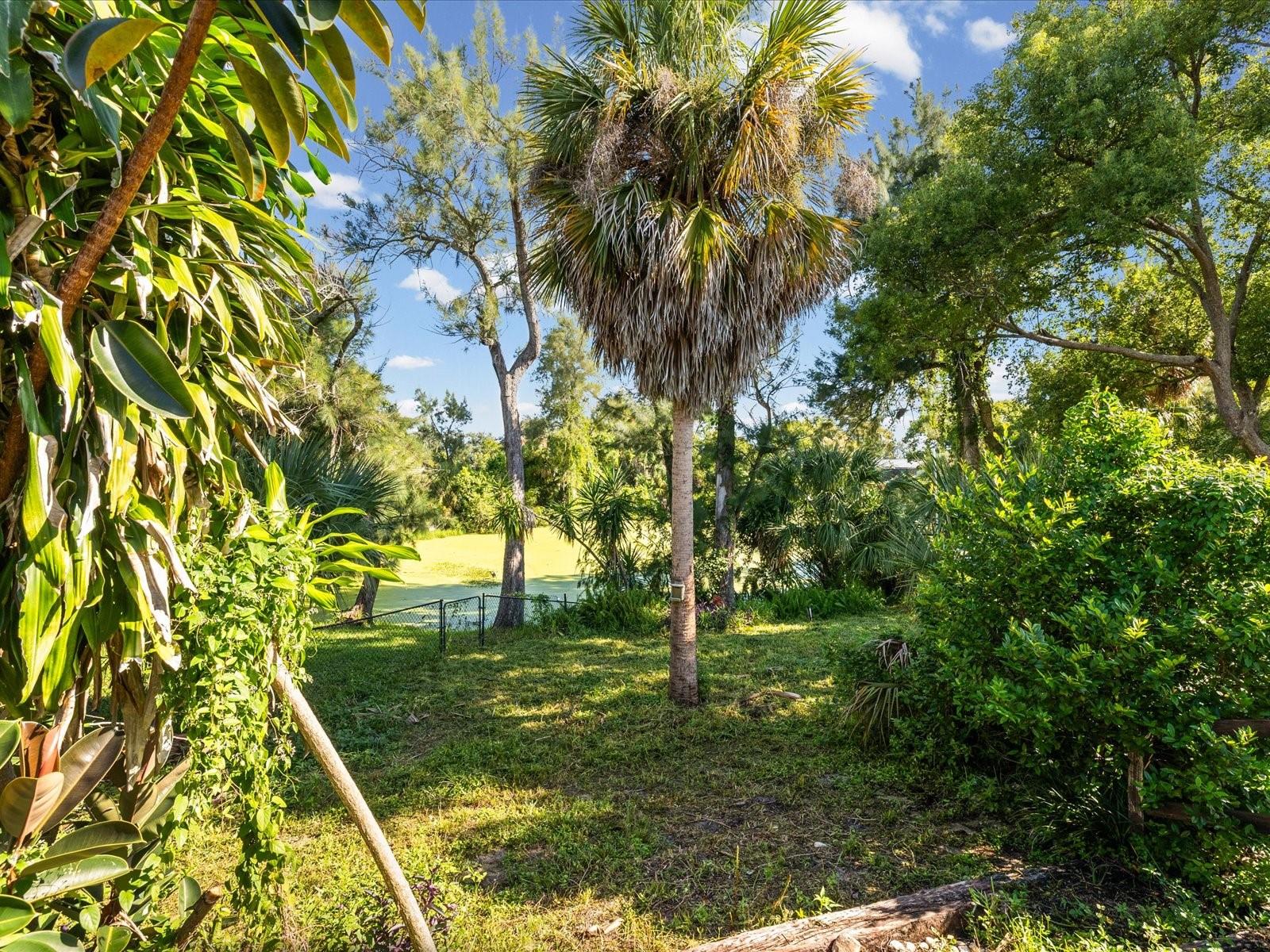 6907 Bottle Brush Dr Property Photo 39