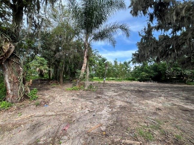 15810 Colding Loop Property Photo 6