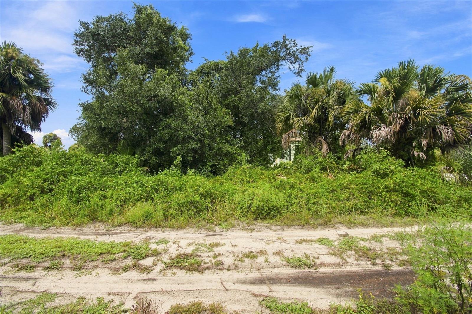 Peale Cir Property Photo 8