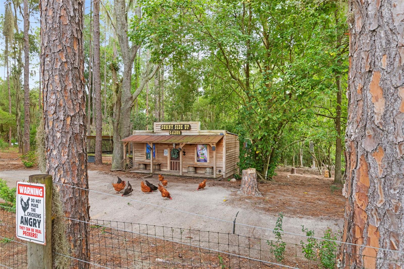 1164 Katie Wood Trl Property Photo 8