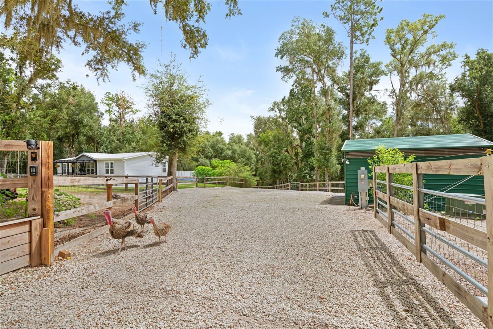 1164 Katie Wood Trl Property Photo 11