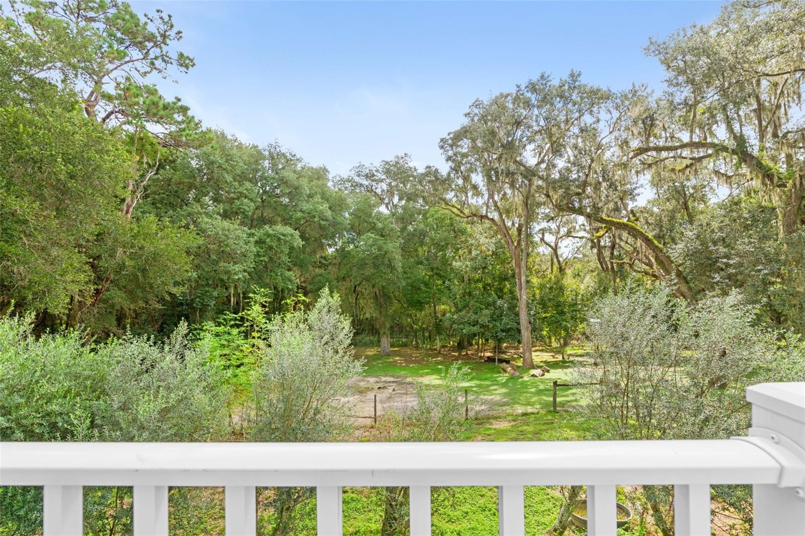 1164 Katie Wood Trl Property Photo 48