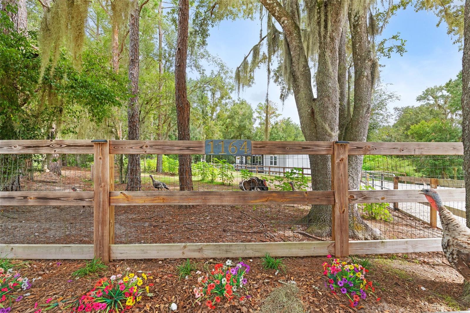 1164 Katie Wood Trl Property Photo 64