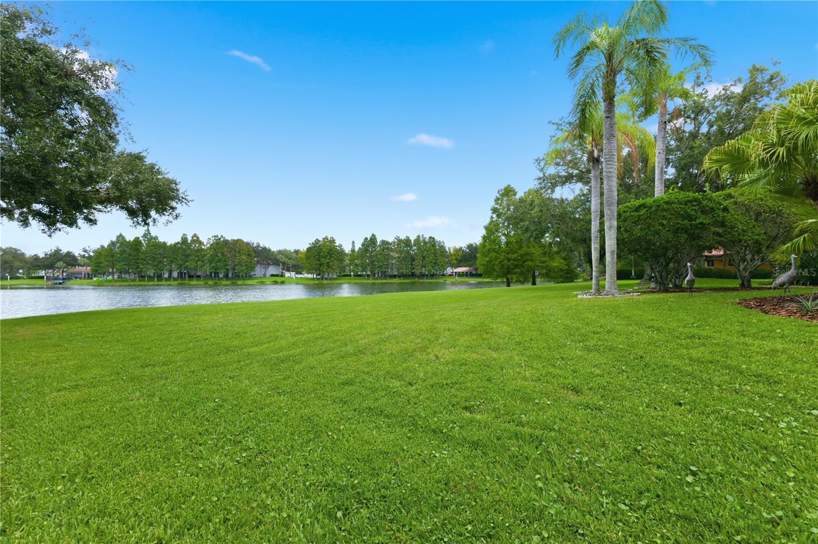 18112 Longwater Run Dr Property Photo 59