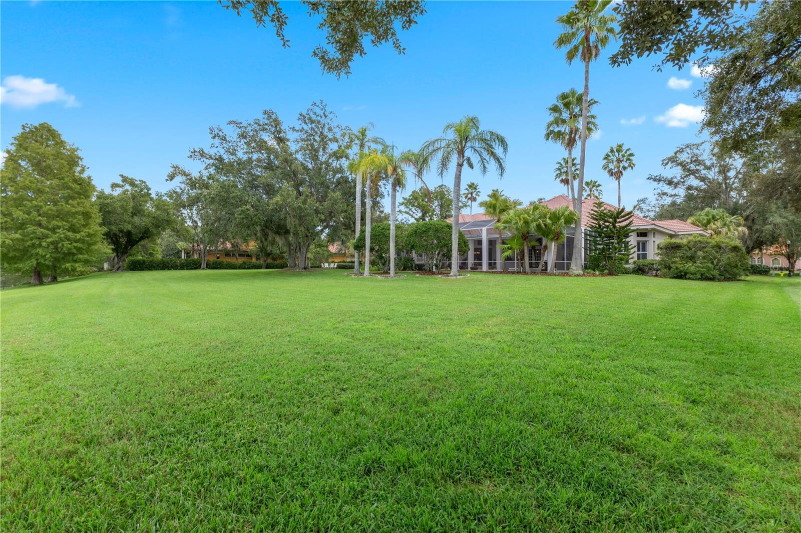 18112 Longwater Run Dr Property Photo 61