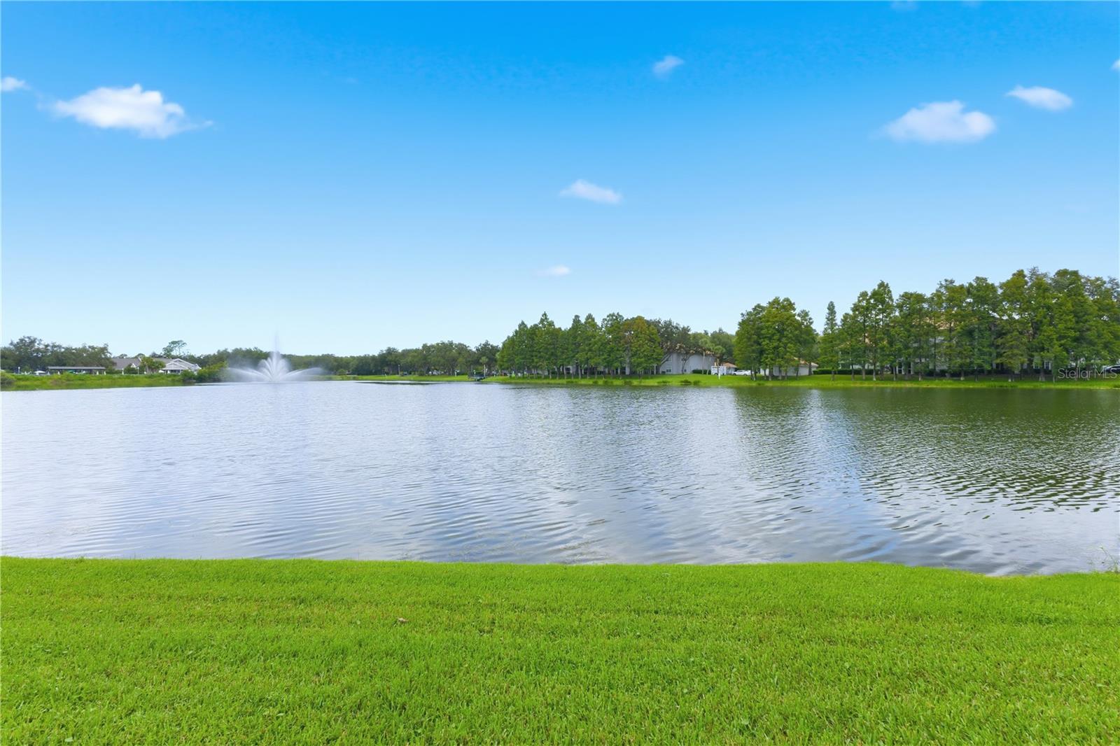 18112 Longwater Run Dr Property Photo 62