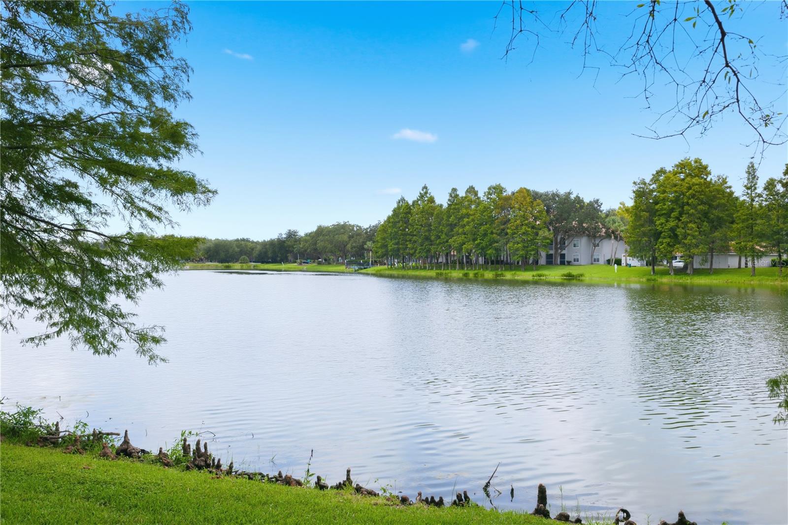 18112 Longwater Run Dr Property Photo 64