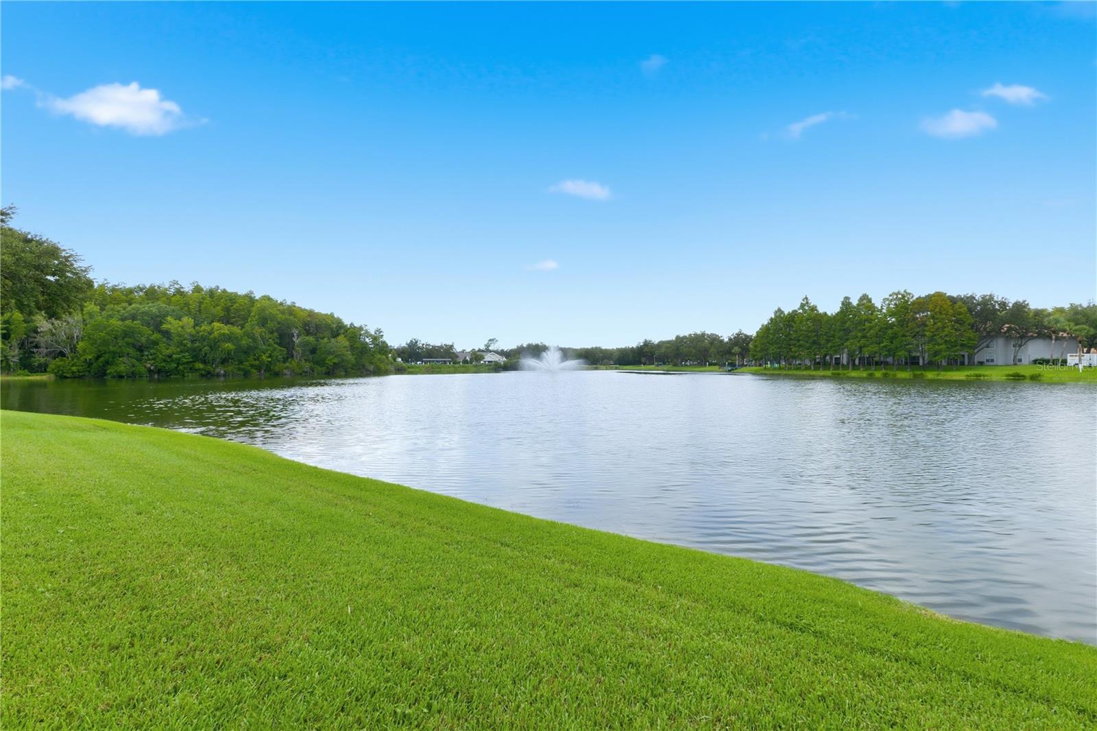 18112 Longwater Run Dr Property Photo 65