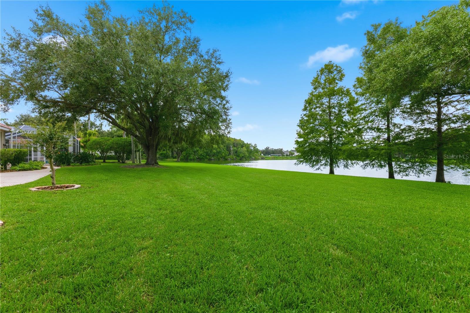 18112 Longwater Run Dr Property Photo 66