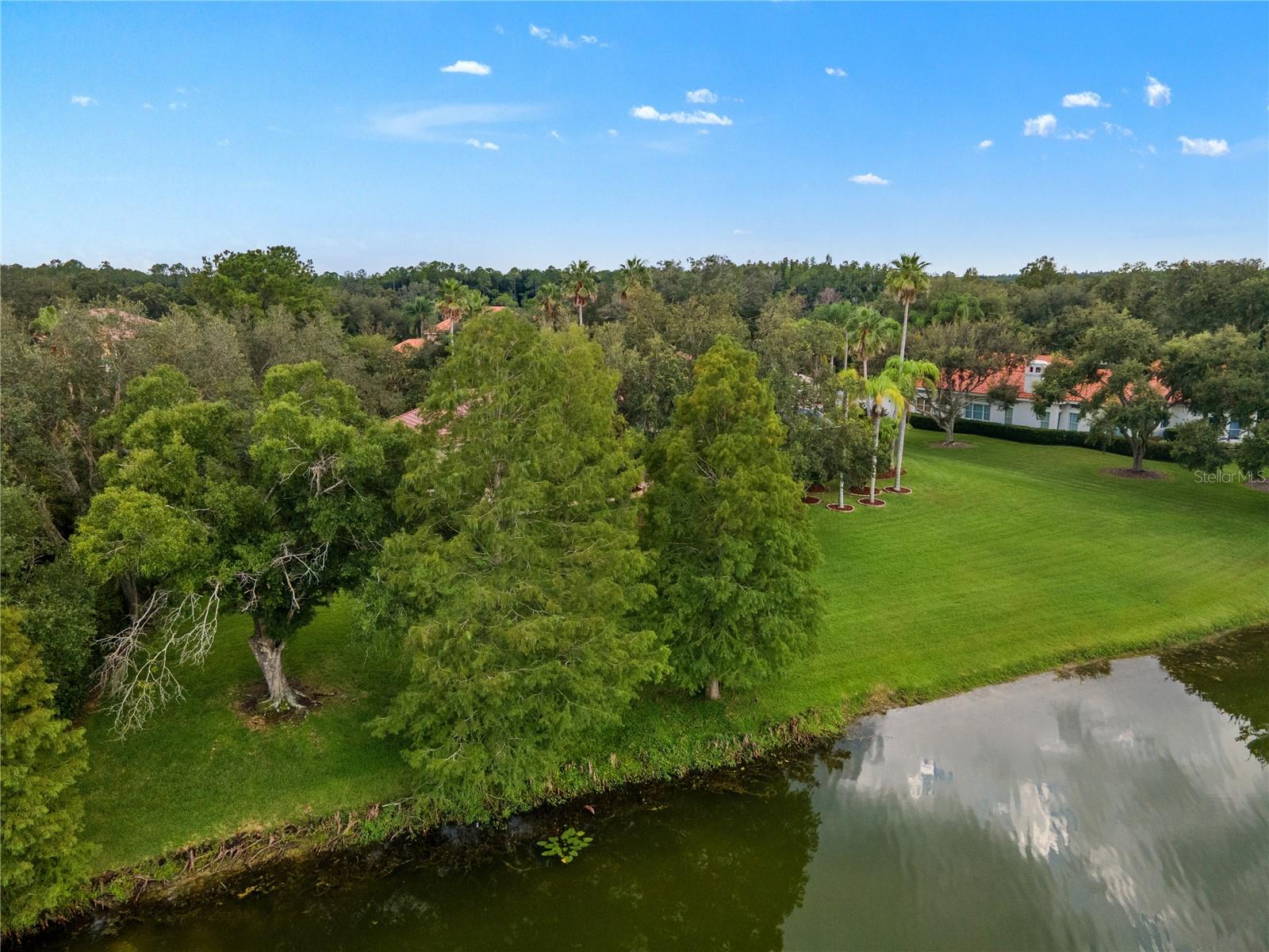 18112 Longwater Run Dr Property Photo 71