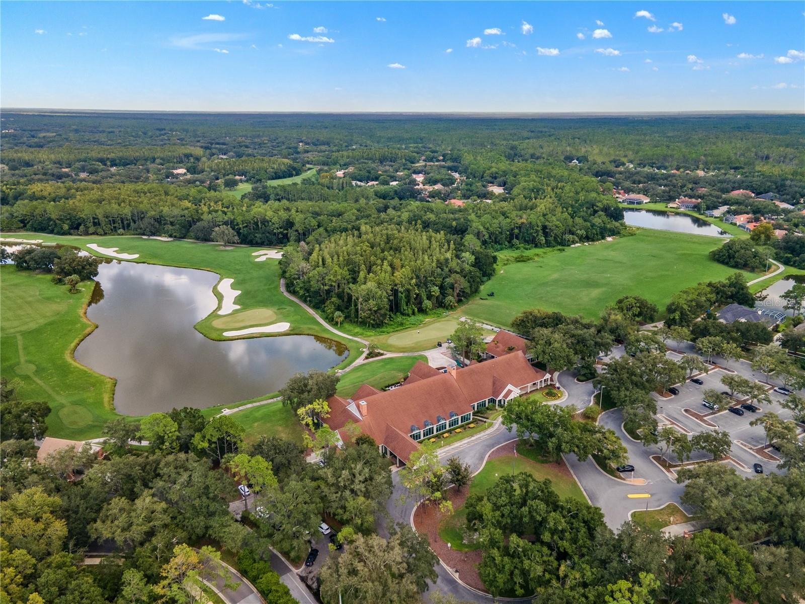 18112 Longwater Run Dr Property Photo 81