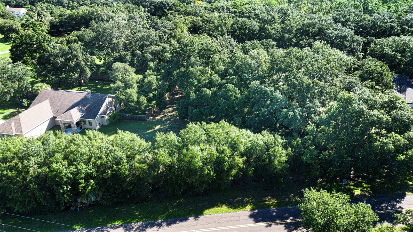 1603 Butch Cassidy Trl Property Photo 2