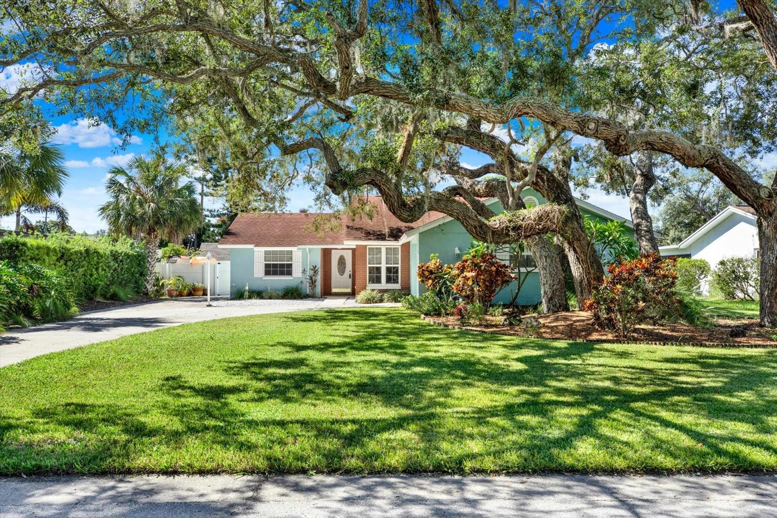 1601 Avoca Dr Property Photo 2